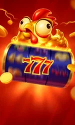 Chicken Coin